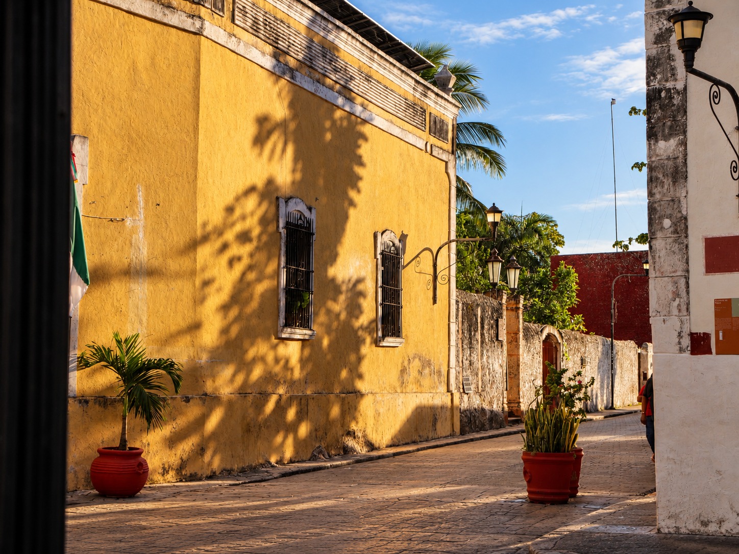 Calle del centro de Valladolid con fachada amarilla, macetas rojas y sombra de palmeras al atardecer