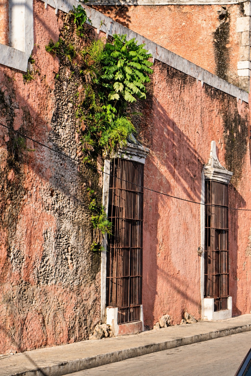 Muro almagre de una casona colonial con rejas de madera y helechos